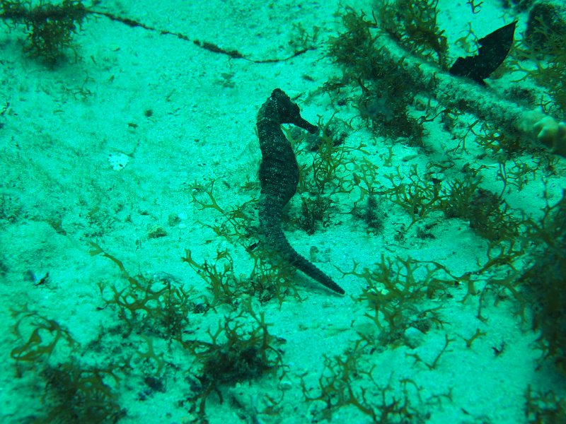 Curacao 04-12 134.JPG